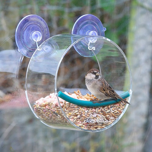 Glass window circular perspex - glass,