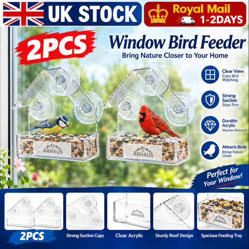 Glass window bird - glass,